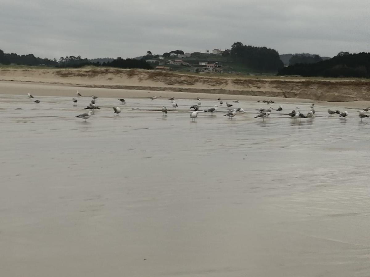 Casa As Marismas Entre Razo Y Baldayo Villa Lema Luaran gambar